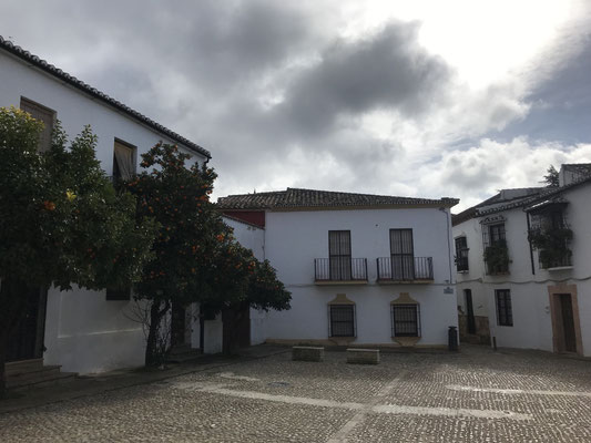 Voyage d'études Sotogrande / Visite Ronda 30.01.2019 / (c) www.effep.eu