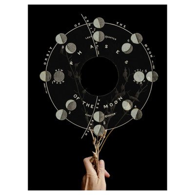 Phases II MGeraci
