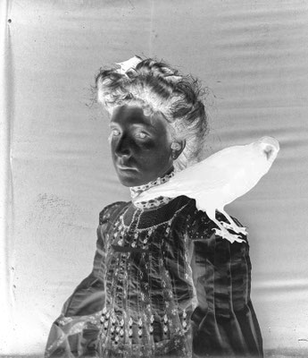 From the project Interviews with Butterflies, 2018.