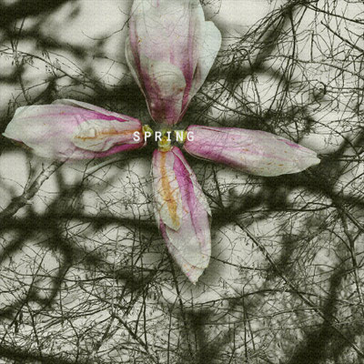 Spring MGeraci