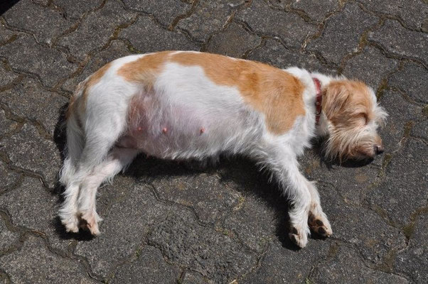 16.00 Uhr: Den Babys so richtig einheizen, dabei ausruhen