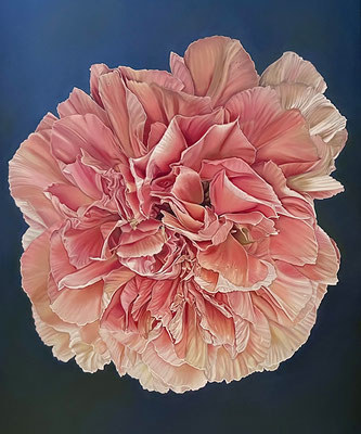 Studie Nelke – Pastellkreiden – 77 x 64 cm