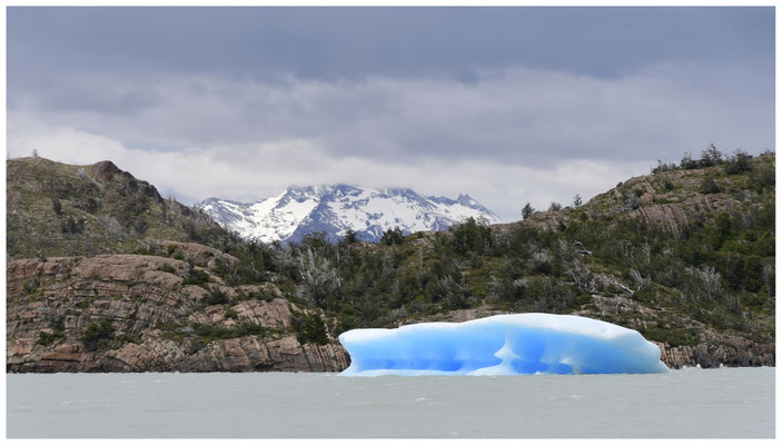 Lago Grey •  Parque Nacional Torres del Paine