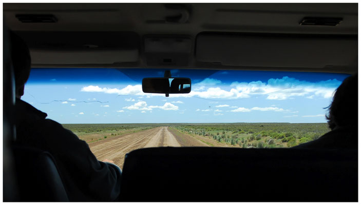 Pampa  •  Peninsula Valdés