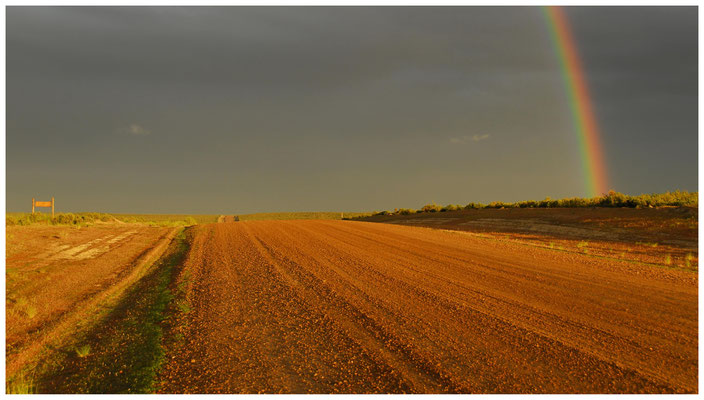 Im Landesinneren  •  Peninsula Valdés