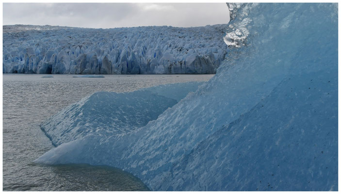 Glacier Grey •  Parque Nacional Torres del Paine
