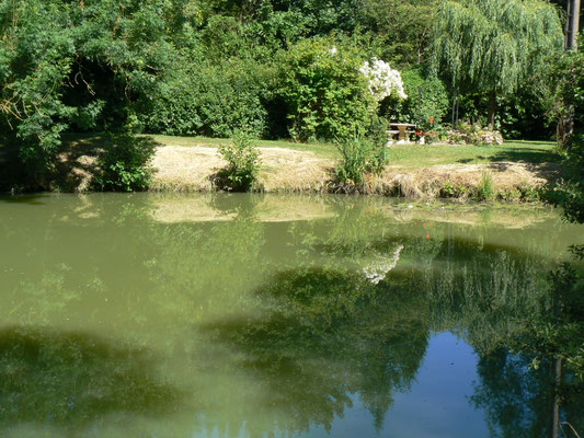 Vue sur l'étang privé - Possibilité de pêcher sans carte