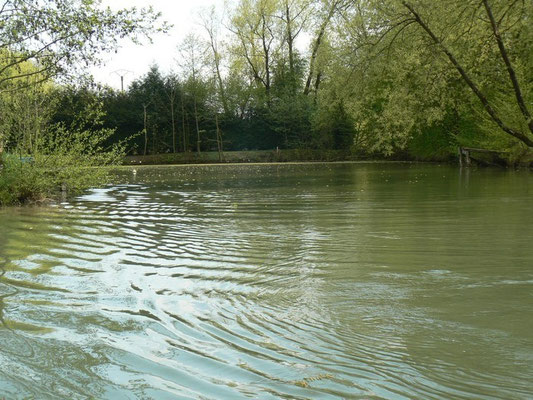 Etang en Meuse - Sampigny (entre Verdun et Commercy)