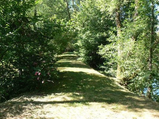 Chemin le long de l'étang