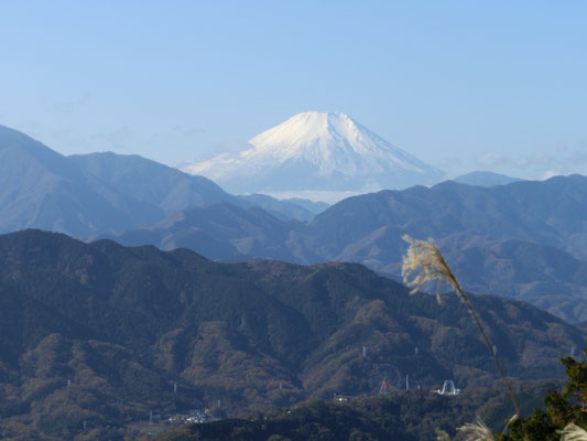 地元高尾山から見た富士山です