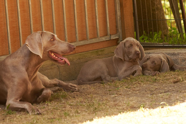 Mama Wilma mit Ari & Arik