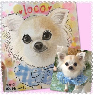 オクノアキ
