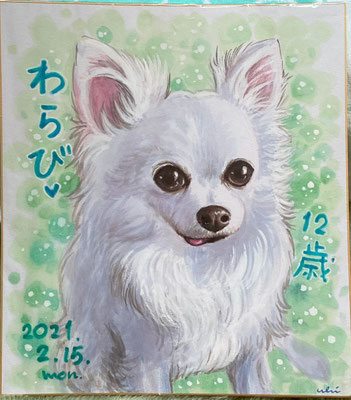 タワースペシャル　オクノアキ