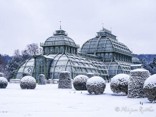Palmenhaus in Schönbrunn