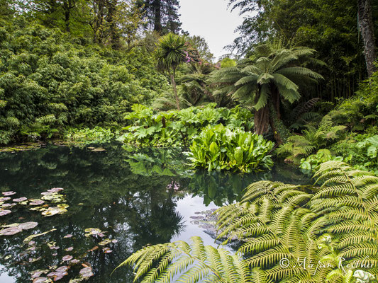 The Lost Gardens of Heligan, Cornwall