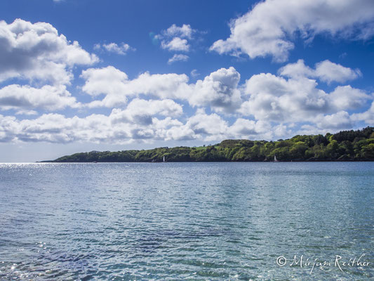 Trebah Garden, Cornwall
