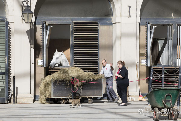 Stallungen der Spanische Hofreitschule