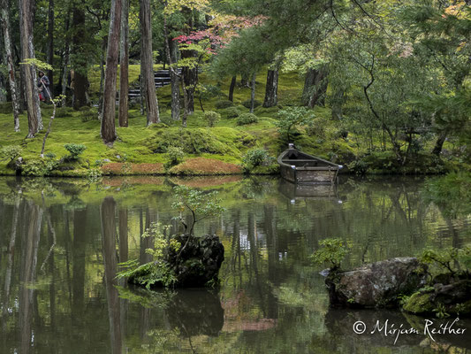 Moosgarten im Saiho-ji Tempel in Kyoto, Japan