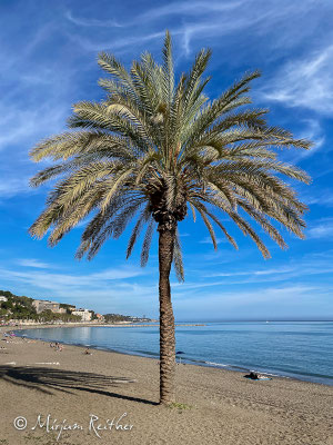 Am Strand von Malaga, Spanien