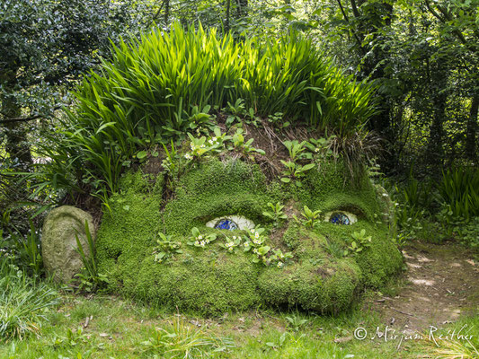 The Lost Gardens of Heligan, Cornwall