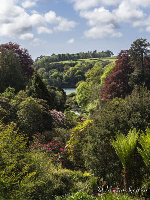Trebah Garden, Cornwall
