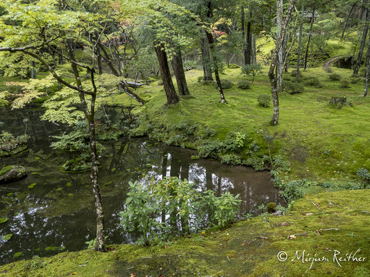 Moosgarten im Saiho-ji Tempel in Kyoto, Japan