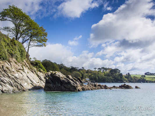 Trebah Garden, Cornwall