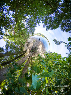 Rheinpark, Rheinstrand in Wesseling 360° Panorama Virtual Reality Touren und 360° Tiny Planet Content Creator, Marcin Adrian Fotograf aus Wesseling in NRW 360° Panorama ersteller in Deutschland, Wesseling, Köln, Bonn, Koblenz, Brühl