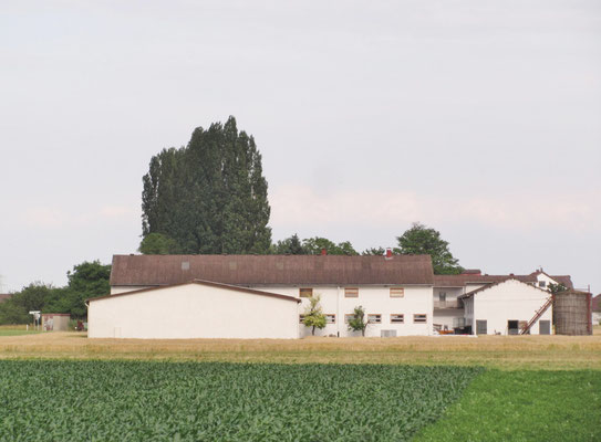 Der "Neuhof" von Familie Kraft, Landwirtschaft mit ...