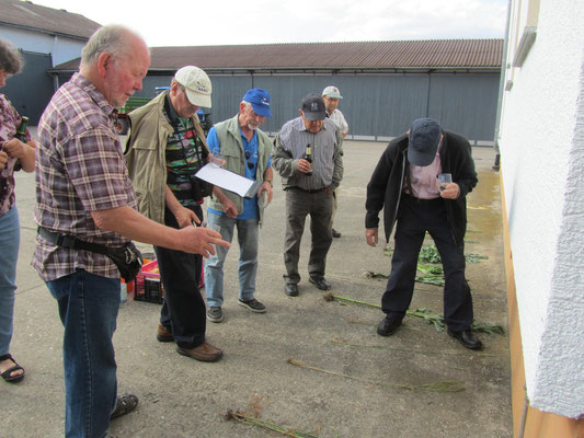 Ratestunde mit landwirtschaftlichen Pflanzen