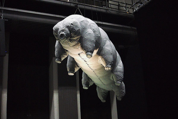 Tardigrada (2019) Diplomarbeit, aufblasbar, 200 x 100 x 100 cm