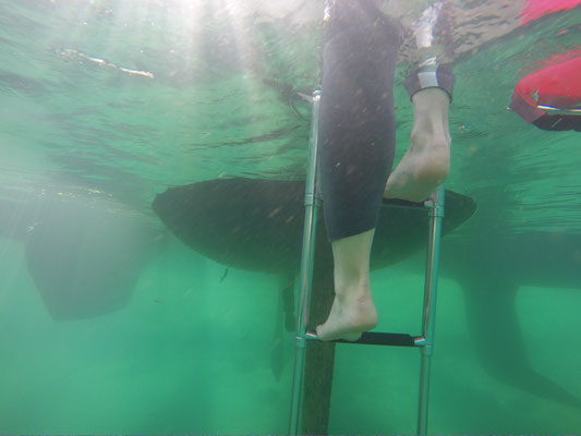 Open Water Training im Genfersee