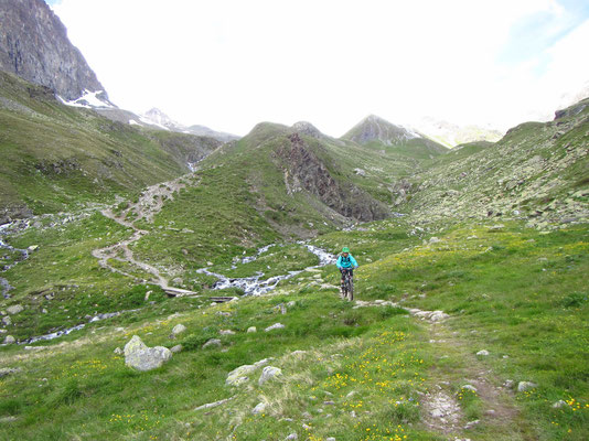 ..runter zur Alp Suvretta 2311müM