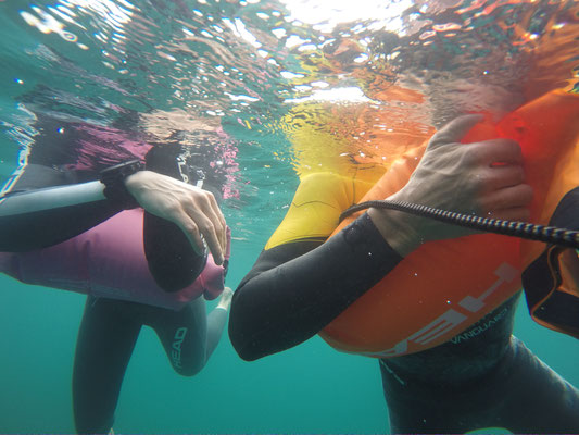 Open Water Training im Genfersee