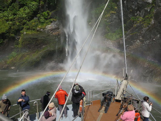 Bootstour durch die Milford Sounds 