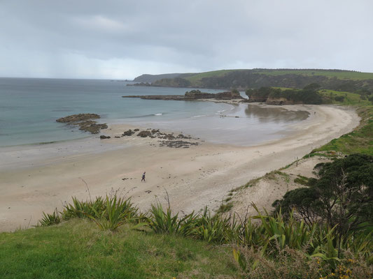 Tawharanui Regionalpark