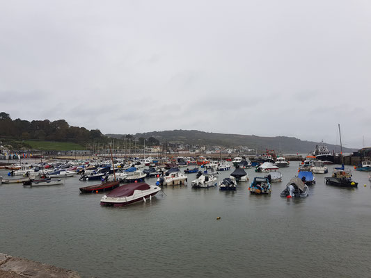 Lyme Regis Hafen