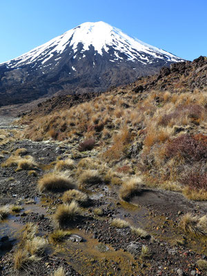 Start der 19.4km langen Tongariro Alpine Crossing Wanderung. Im Hintergrund der Vulkan Ngauruhoe. Für die Herr der Ringe Kenner: Dies ist Mordor