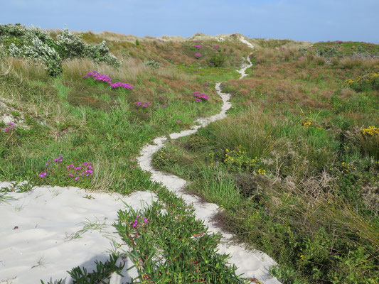 Unser Weg vom Campingplatz zum Strand