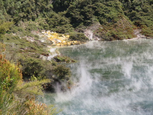 Waimangu Volcanic Valley ..Echo Crater