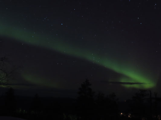 An unserem letzter Abend in Lappland hat sich das Nordlicht nochmals gezeigt