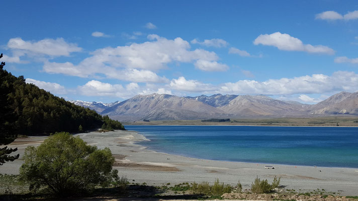 Aussicht auf den Lake Tekapo von unserem Campingplatz