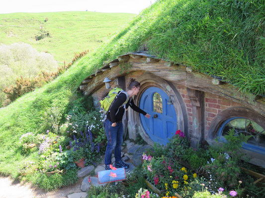 Hobbiton: die Filmkulisse von Lord of the Ring und The Hobbit