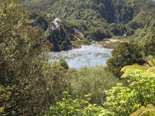 Waimangu Volcanic Valley ..Echo Crater