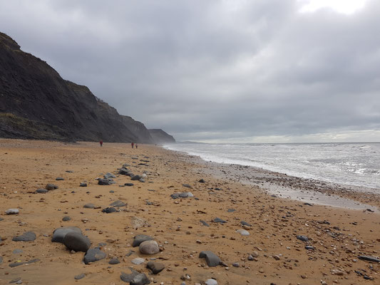 Charmouth Beach am Fossilien suchen