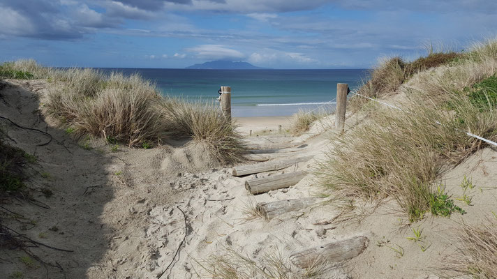 Camping direkt hinter der Dühne beim Tawharanui Regionalpark