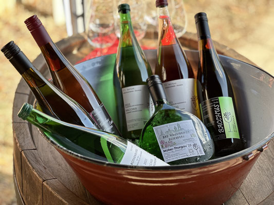 EVENT - WEINPROBE