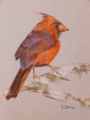Oiseau 1 - pastel - 40x30