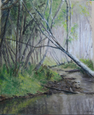 Silence - pastel - 50x40