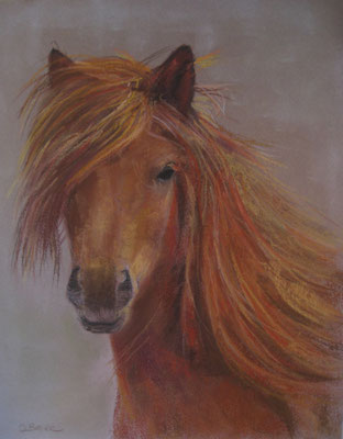 petit cheval - pastel - 40x30